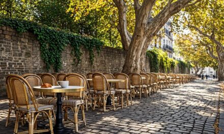 Paris Café Culture: Highly Recommended Spots Beyond Tourist Traps 2026