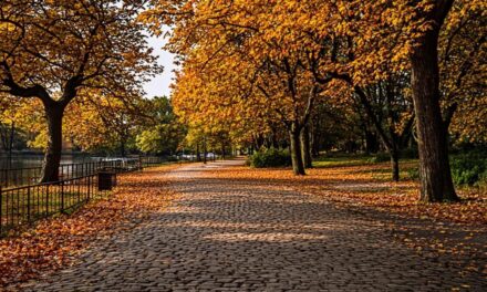 Paris in October: The Ultimate Fall Travel Guide (2026)