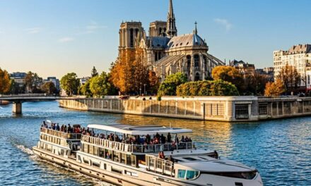 Seine River Cruise in Paris: Which Option Offers the Best Value? 2026