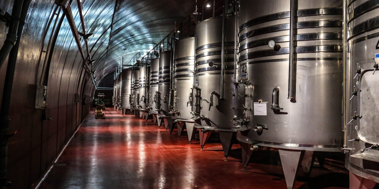 Paris Wine Bars Where Locals Actually Drink: 15 Honest Recommendations 2026