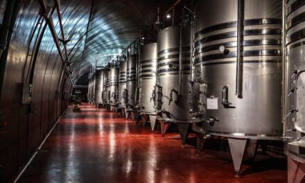 Paris Wine Bars Where Locals Actually Drink: 15 Honest Recommendations 2026